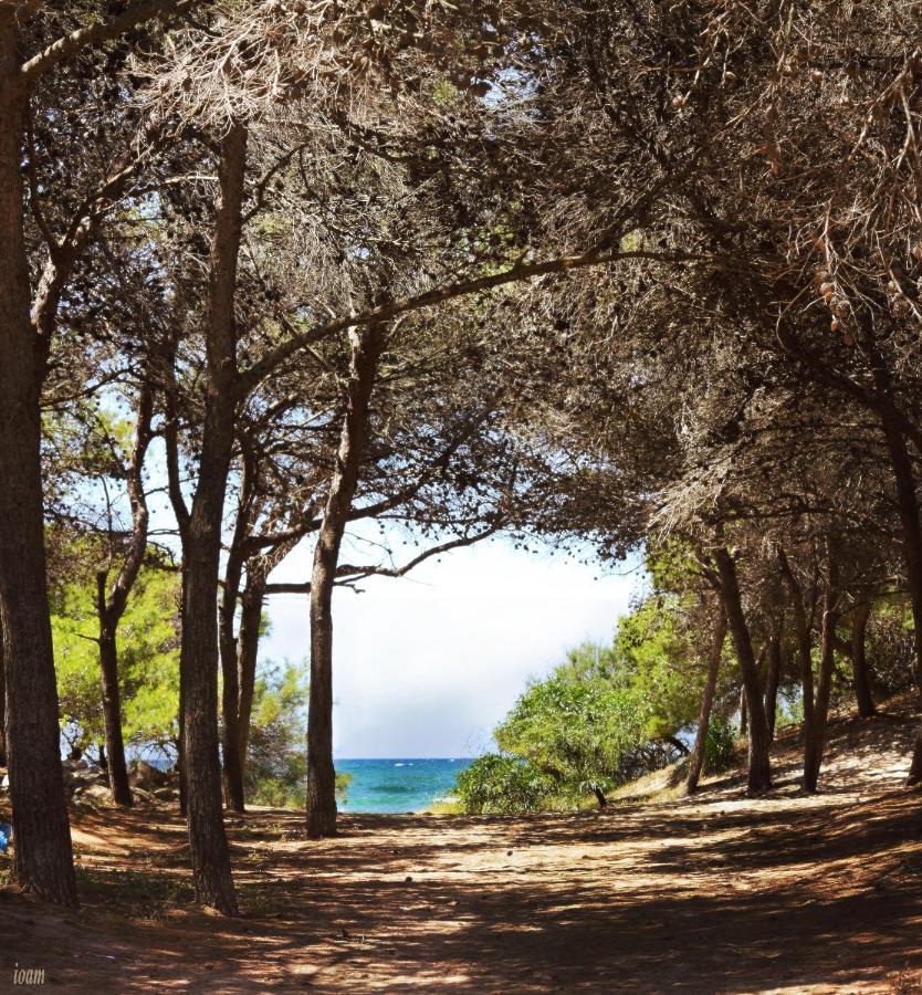 Appartamenti Rivabella D Gallipoli Kültér fotó